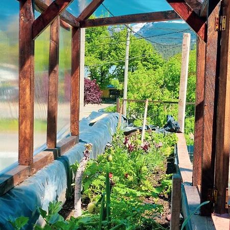 Posada Del Buscador El Bolsón Dış mekan fotoğraf